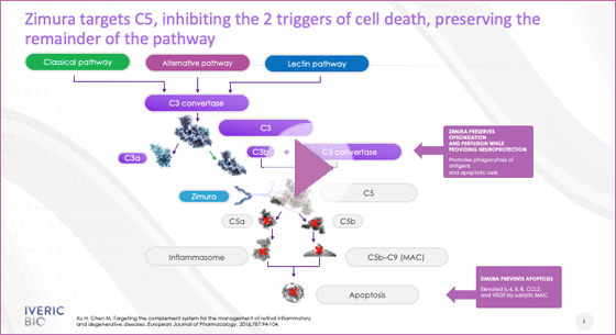 Chapter 2: A potential treatment for our GA patients may be coming soon